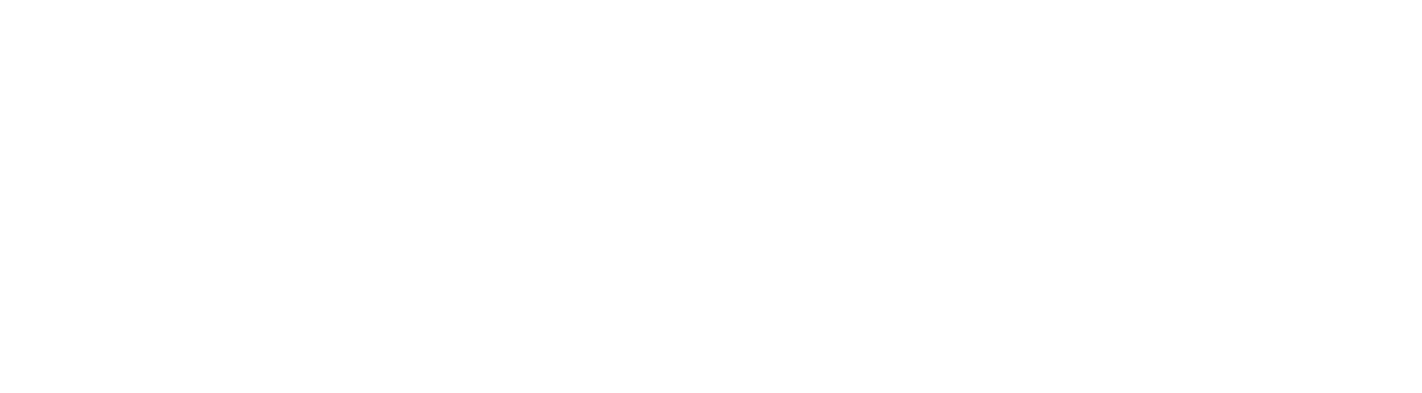 Dorothée Studio